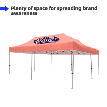20' x 20' tent